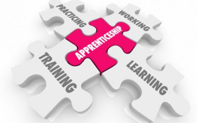 Apprenticeships: Where Are We?